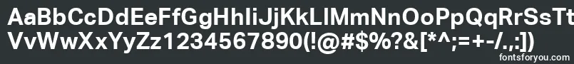 AktivgroteskcorpBold Font – White Fonts on Black Background