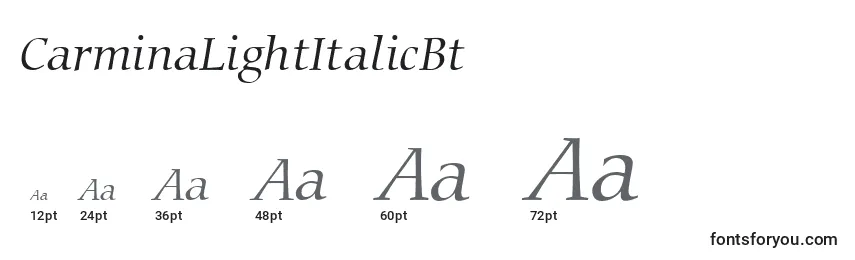 CarminaLightItalicBt Font Sizes