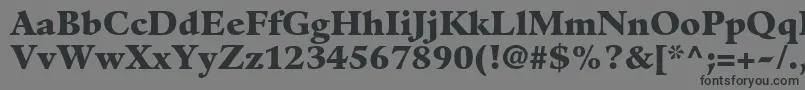 Шрифт GuardiltstdBlack – чёрные шрифты на сером фоне