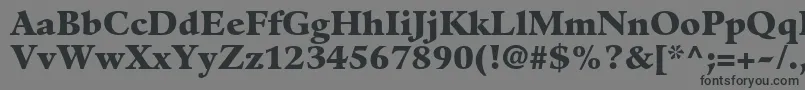 GuardiltstdBlack Font – Black Fonts on Gray Background