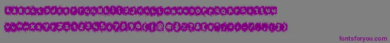 TpfKrikkelKrakkel Font – Purple Fonts on Gray Background