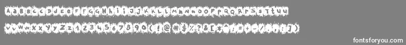 TpfKrikkelKrakkel Font – White Fonts on Gray Background