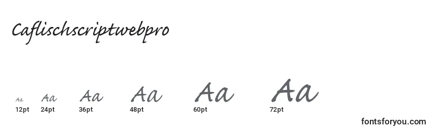 Größen der Schriftart Caflischscriptwebpro