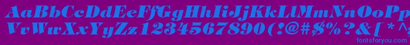 SophisticateUltraSsiBlackItalic Font – Blue Fonts on Purple Background