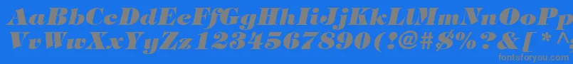 SophisticateUltraSsiBlackItalic Font – Gray Fonts on Blue Background