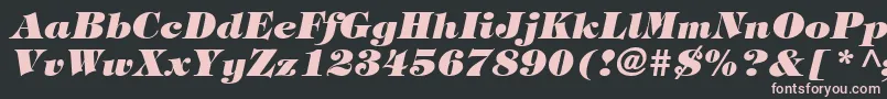 フォントSophisticateUltraSsiBlackItalic – 黒い背景にピンクのフォント