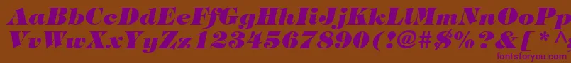 SophisticateUltraSsiBlackItalic Font – Purple Fonts on Brown Background