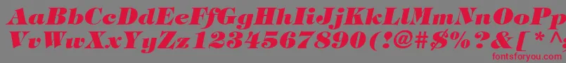 SophisticateUltraSsiBlackItalic Font – Red Fonts on Gray Background