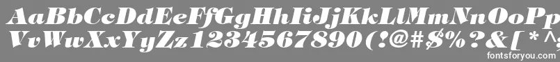 フォントSophisticateUltraSsiBlackItalic – 灰色の背景に白い文字