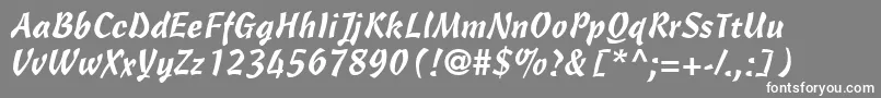 CascadeScriptLt Font – White Fonts on Gray Background