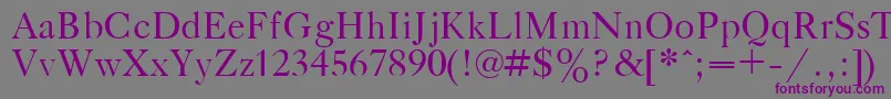 GazetaTitulPlain.001.001 Font – Purple Fonts on Gray Background