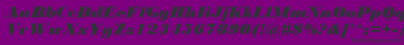BodoniMtBlackРљСѓСЂСЃРёРІ Font – Black Fonts on Purple Background