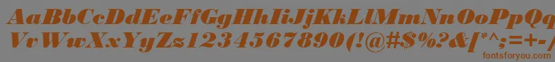 BodoniMtBlackРљСѓСЂСЃРёРІ Font – Brown Fonts on Gray Background