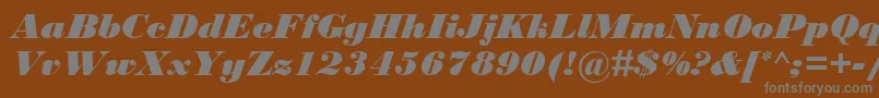 BodoniMtBlackРљСѓСЂСЃРёРІ Font – Gray Fonts on Brown Background