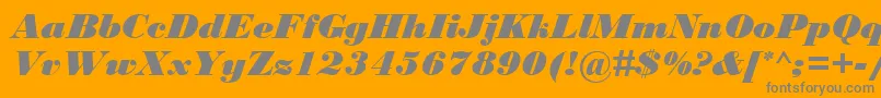 BodoniMtBlackРљСѓСЂСЃРёРІ Font – Gray Fonts on Orange Background