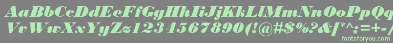 BodoniMtBlackРљСѓСЂСЃРёРІ Font – Green Fonts on Gray Background