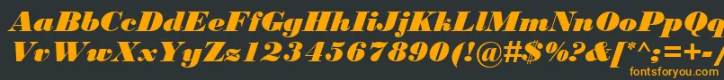 BodoniMtBlackРљСѓСЂСЃРёРІ Font – Orange Fonts on Black Background