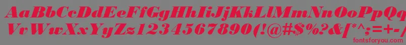 BodoniMtBlackРљСѓСЂСЃРёРІ Font – Red Fonts on Gray Background