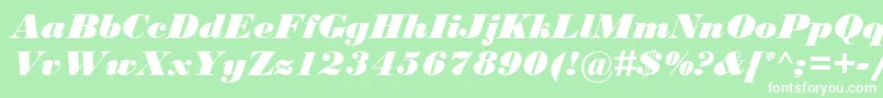 BodoniMtBlackРљСѓСЂСЃРёРІ Font – White Fonts on Green Background