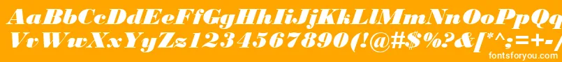 BodoniMtBlackРљСѓСЂСЃРёРІ Font – White Fonts on Orange Background