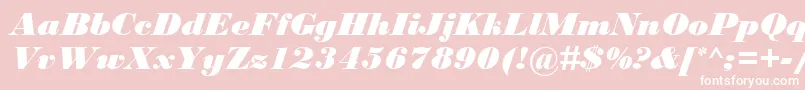 BodoniMtBlackРљСѓСЂСЃРёРІ Font – White Fonts on Pink Background