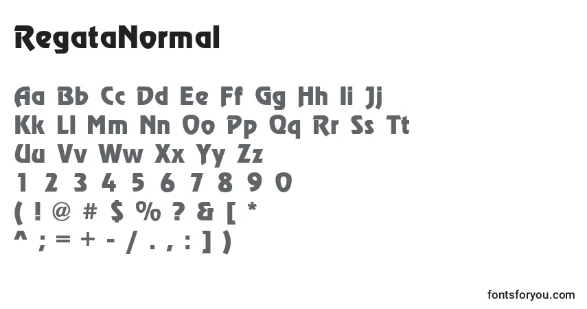 Czcionka RegataNormal – alfabet, cyfry, specjalne znaki