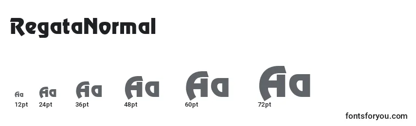 RegataNormal Font Sizes