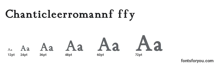 Размеры шрифта Chanticleerromannf ffy
