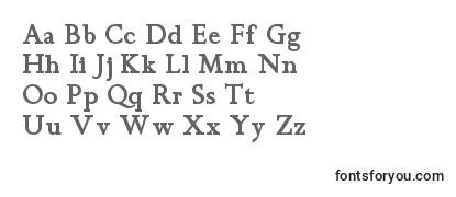 Review of the Chanticleerromannf ffy Font