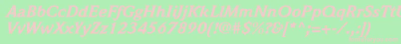 QuintessenceBlackSsiBlackItalic Font – Pink Fonts on Green Background