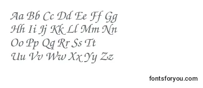 TexgyrechorusMediumitalic Font