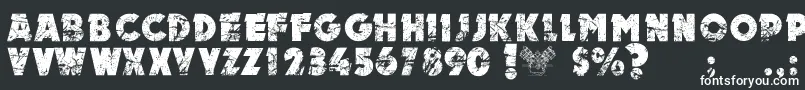 MotorPersonalUseOnly Font – White Fonts