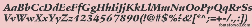 StempelSchneidlerLtBlackItalic Font – Black Fonts on Pink Background