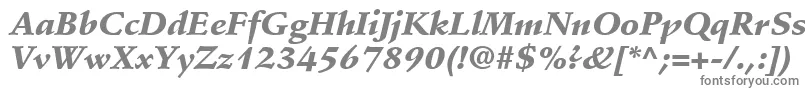 Шрифт StempelSchneidlerLtBlackItalic – серые шрифты на белом фоне