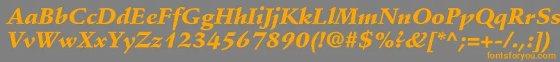 StempelSchneidlerLtBlackItalic Font – Orange Fonts on Gray Background