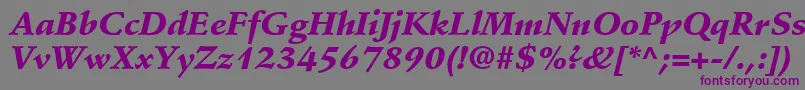 StempelSchneidlerLtBlackItalic Font – Purple Fonts on Gray Background