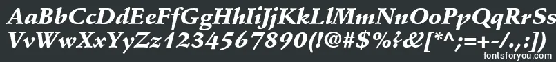 Шрифт StempelSchneidlerLtBlackItalic – белые шрифты
