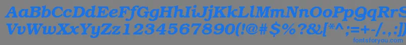 BookmangttBolditalic Font – Blue Fonts on Gray Background