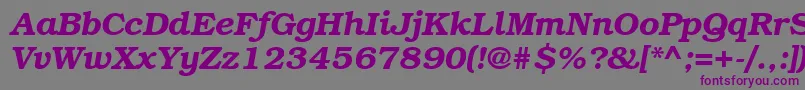 BookmangttBolditalic Font – Purple Fonts on Gray Background