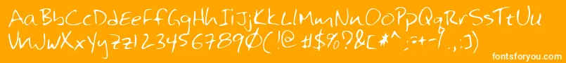 Lehn125 Font – White Fonts on Orange Background
