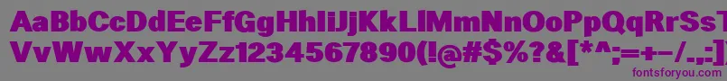 HeltarBlack Font – Purple Fonts on Gray Background