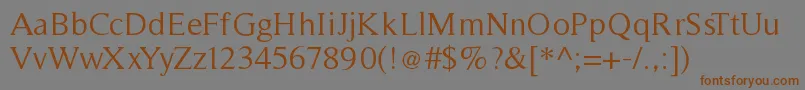 Timeless Font – Brown Fonts on Gray Background