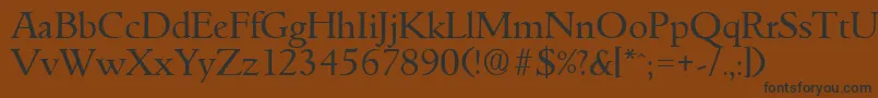 GouditaSerialRegularDb Font – Black Fonts on Brown Background