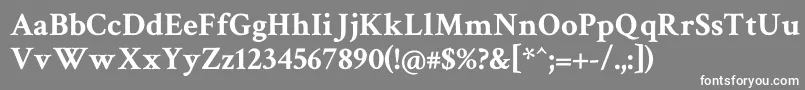 フォントCrimsontext ffy – 灰色の背景に白い文字