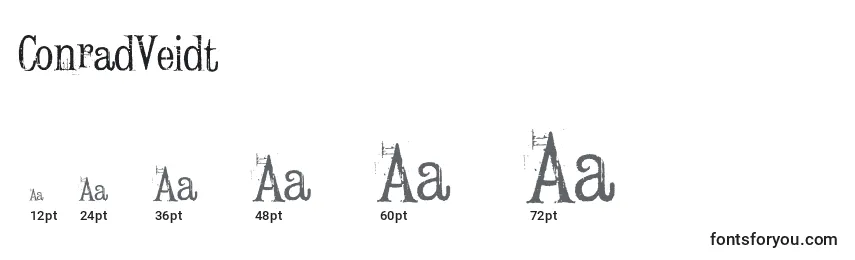 ConradVeidt Font Sizes