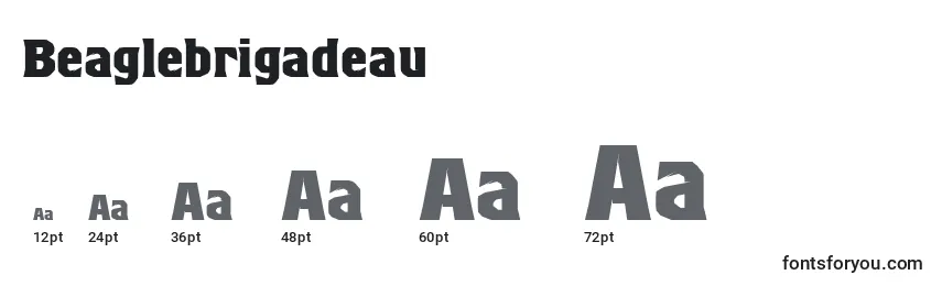 Размеры шрифта Beaglebrigadeau