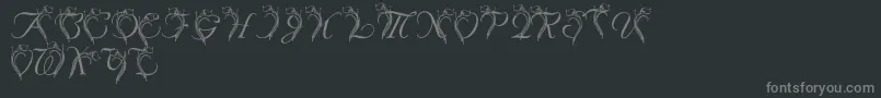 フォントLmsCallaLily – 黒い背景に灰色の文字