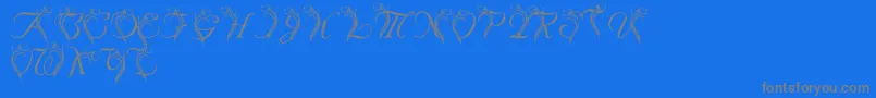 LmsCallaLily-Schriftart – Graue Schriften auf blauem Hintergrund