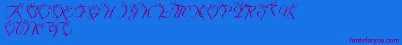 LmsCallaLily-Schriftart – Violette Schriften auf blauem Hintergrund