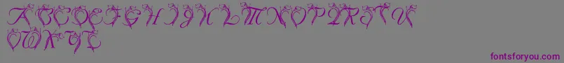 LmsCallaLily Font – Purple Fonts on Gray Background